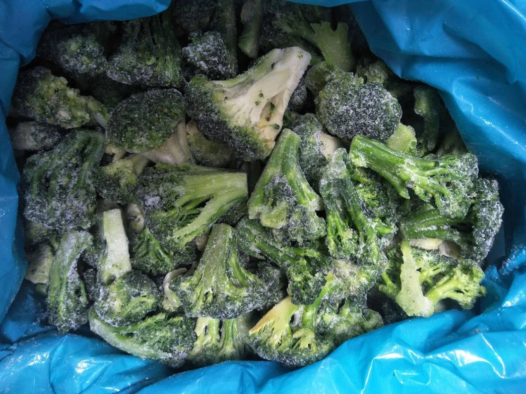 Frozen Vegetables IQF Broccoli Floret 2-4cm, 3-5cm, Broccoli Cut