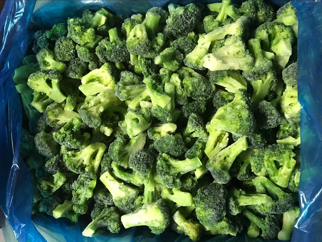 Frozen Vegetables IQF Broccoli Floret 2-4cm, 3-5cm, Broccoli Cut