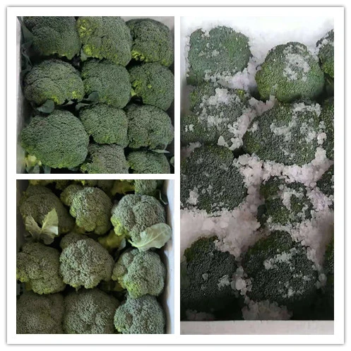 Top Quality Fresh Green Vegetables Health Food Fresh Broccoli