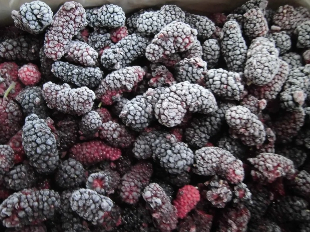 Top Quality IQF Frozen Fruits and Mulberry